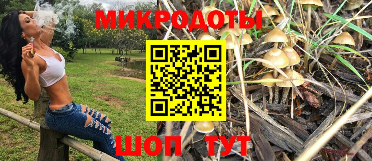 Галлюциногенные грибы GOLDEN TEACHER  Псилоцибиновые грибы Psilocybine cubensis  Вход с VPN  Шали 